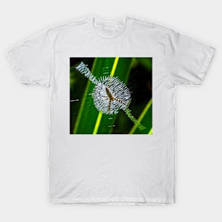 Spider in web T-Shirt